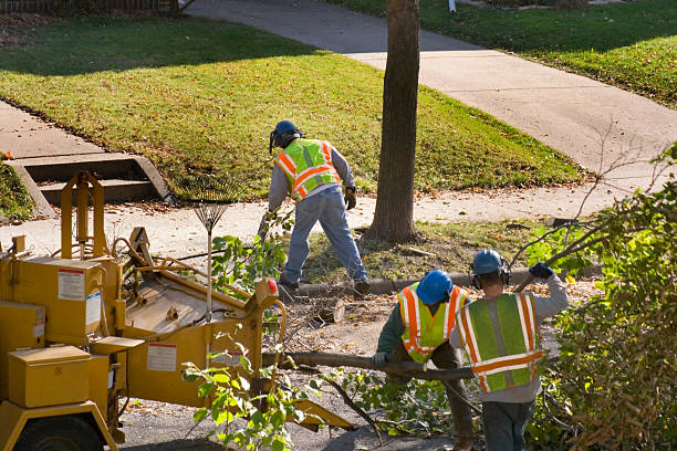 Lawn Pest Prevention in Upper Sandusky, OH